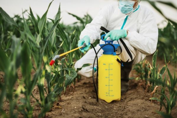 insights-into-integrated-pest-management-all-you-should-know-600x400